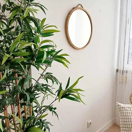 公寓 Apartamento Almada *